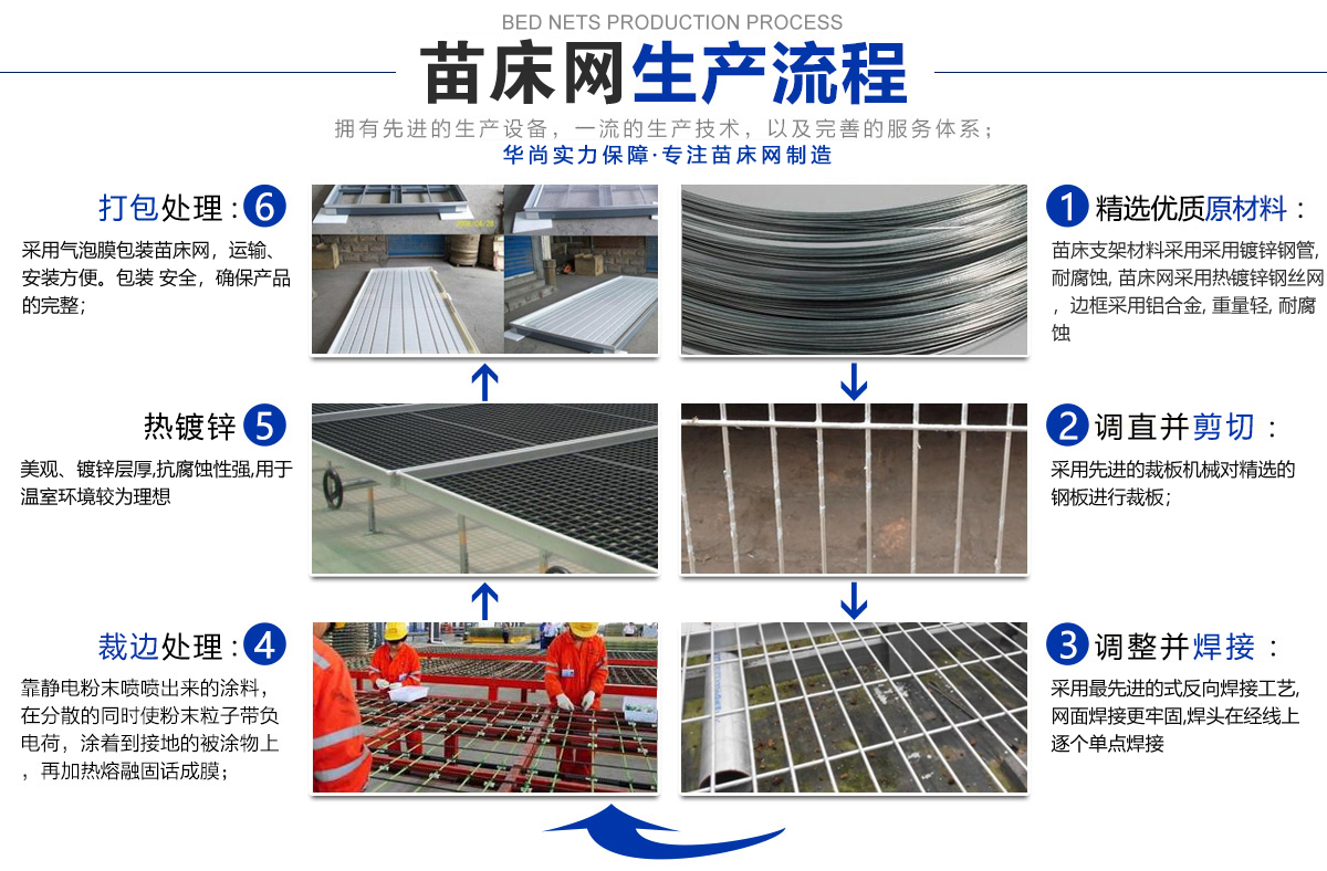 苗床網生產流程